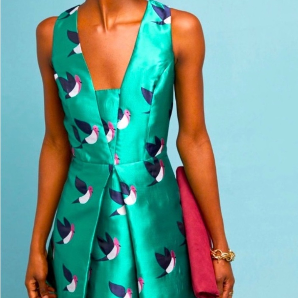NWT Eva Franco Anthropologie Fit & Flare Birdie Dress Sz 0